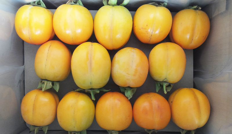 合わせ柿 贈答用【2.5kg】