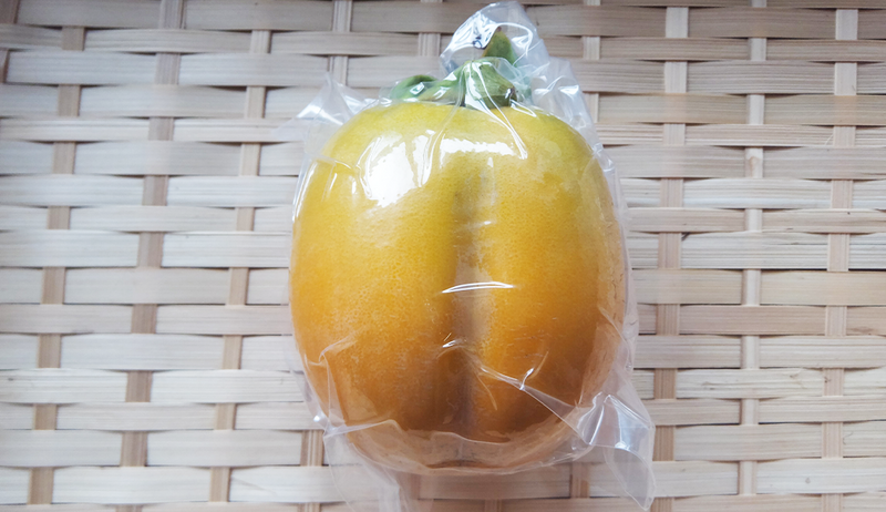 合わせ柿個包装【1個】